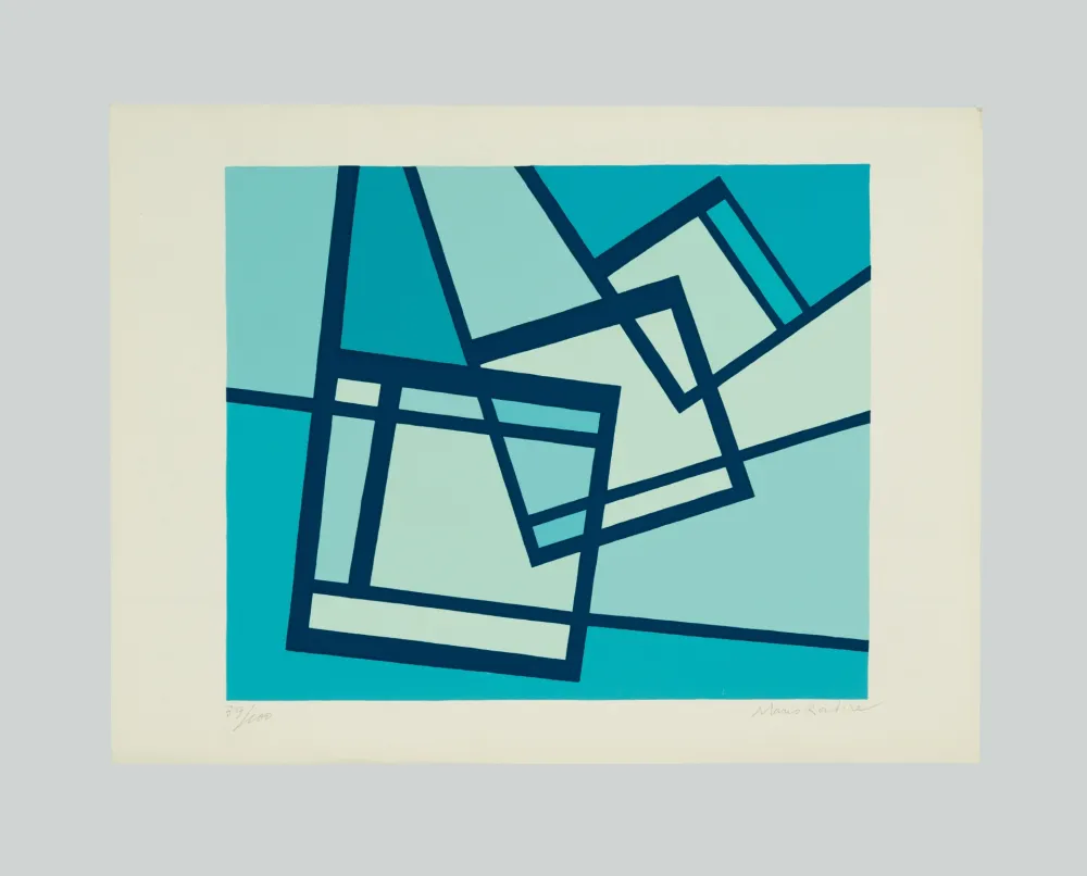 丝网印刷 Radice - La distruzione