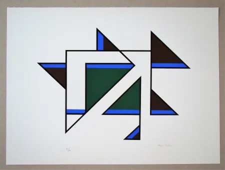 丝网印刷 Radice - Senza Titolo