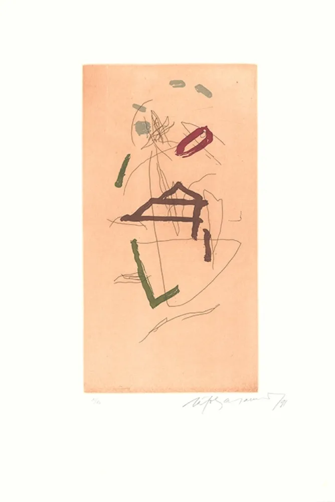 蚀刻飞尘法 Ràfols Casamada - Barris Extrems-7