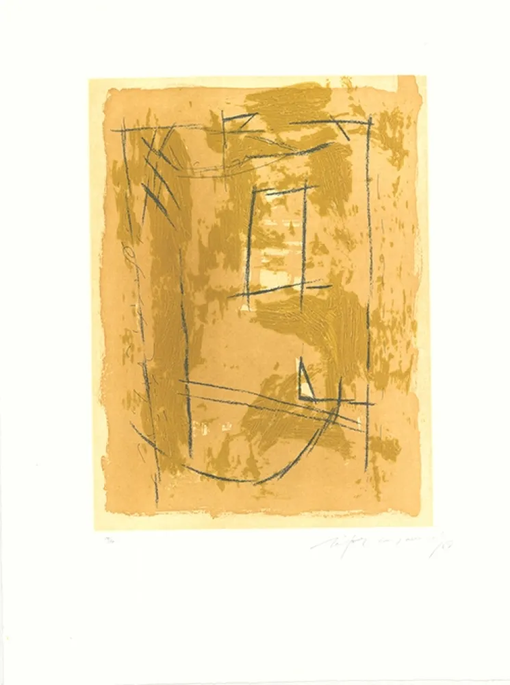 蚀刻飞尘法 Ràfols Casamada - Circ-4