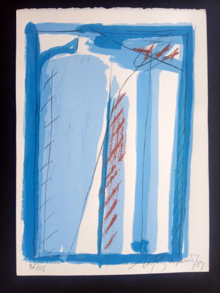 丝网印刷 Ràfols Casamada - Episodi V