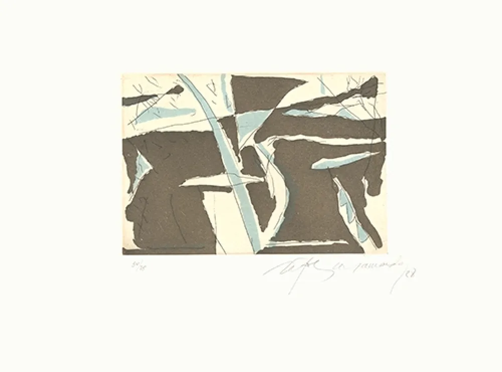 蚀刻飞尘法 Ràfols Casamada - Estiu-4