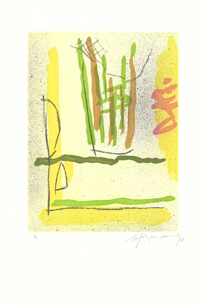 蚀刻飞尘法 Ràfols Casamada - Floral-1