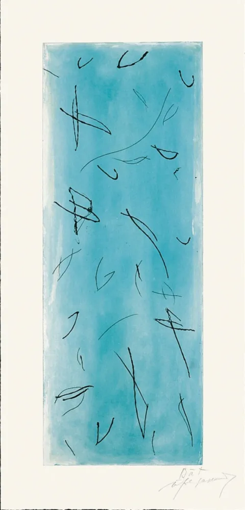 版画 Ràfols Casamada - Ocells-2