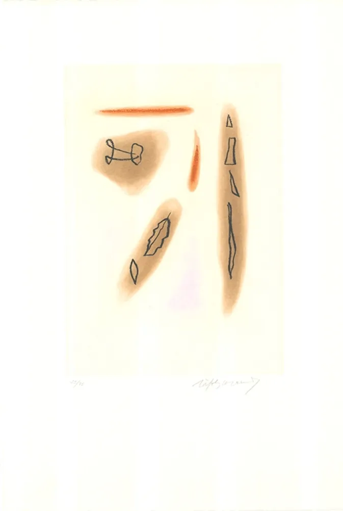 蚀刻飞尘法 Ràfols Casamada - Primavera-3