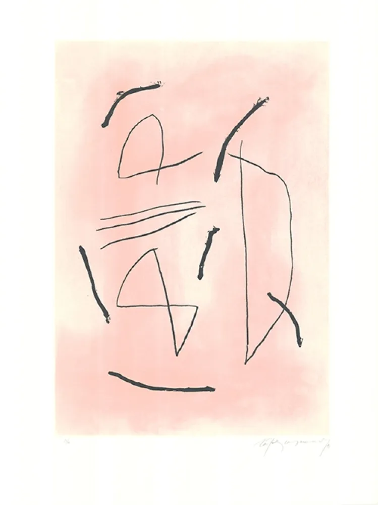 蚀刻飞尘法 Ràfols Casamada - Signe i color 4