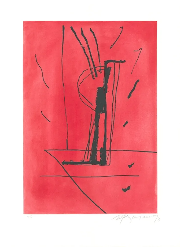 蚀刻飞尘法 Ràfols Casamada - Signe i color 6