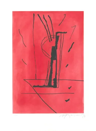 蚀刻飞尘法 Ràfols Casamada - Signe i color 6