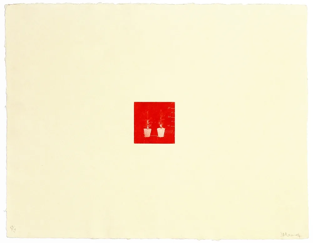 版画 Ramírez Suass - S'enraciner