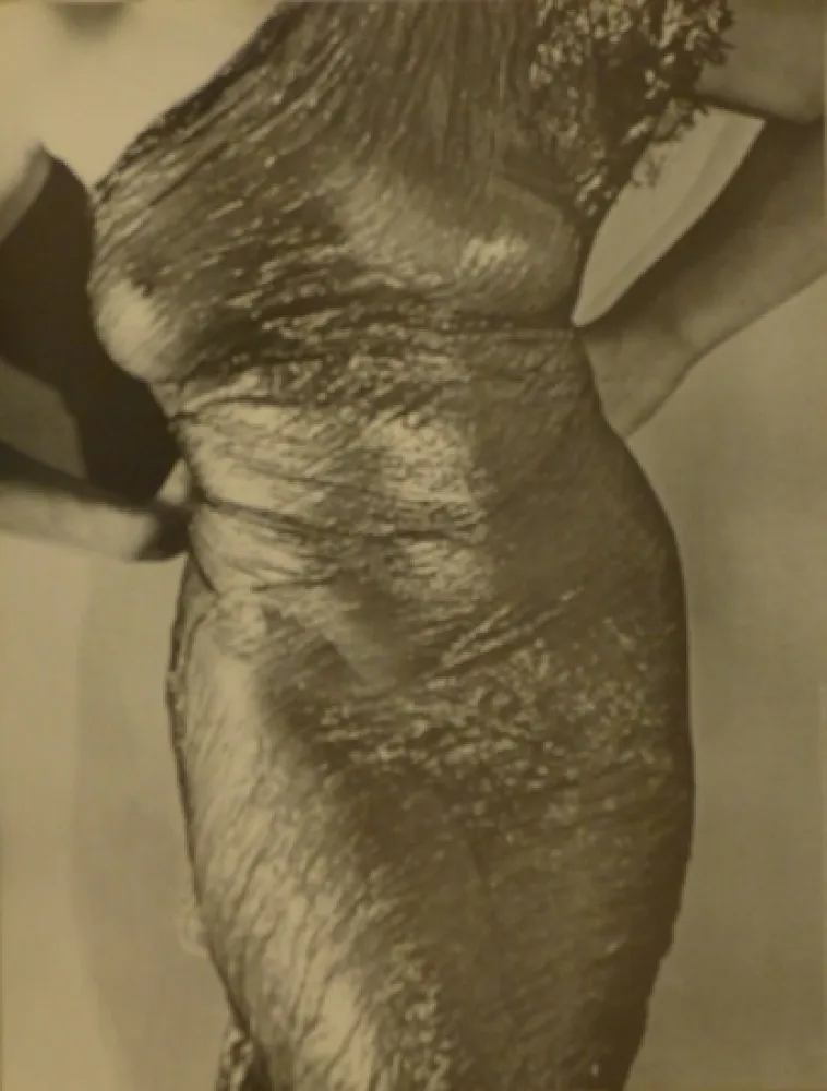 海报 Ray - Anatomies