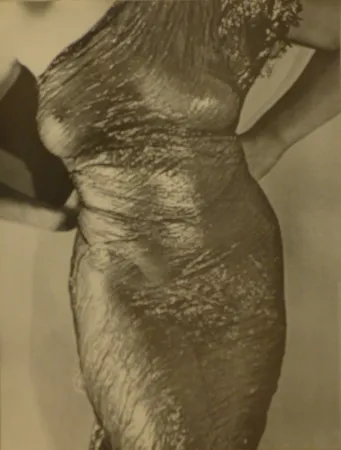 海报 Ray - Anatomies