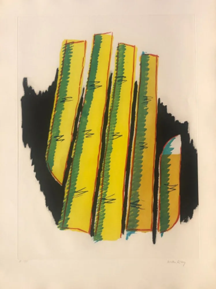 飞尘腐蚀法 Ray - Cactus