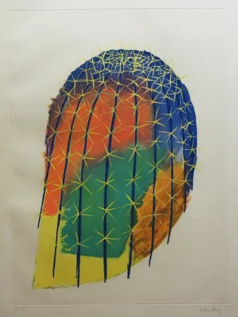 蚀刻飞尘法 Ray - Transfiguration d'un cactus