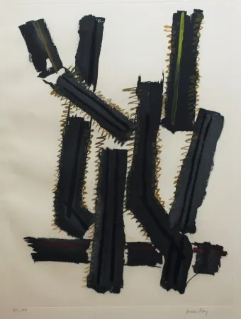 蚀刻飞尘法 Ray - Transfiguration d'un cactus