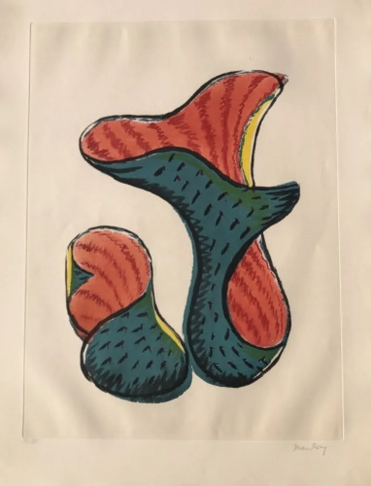 飞尘腐蚀法 Ray - Untitled (from Transfiguration d' un Cactus)