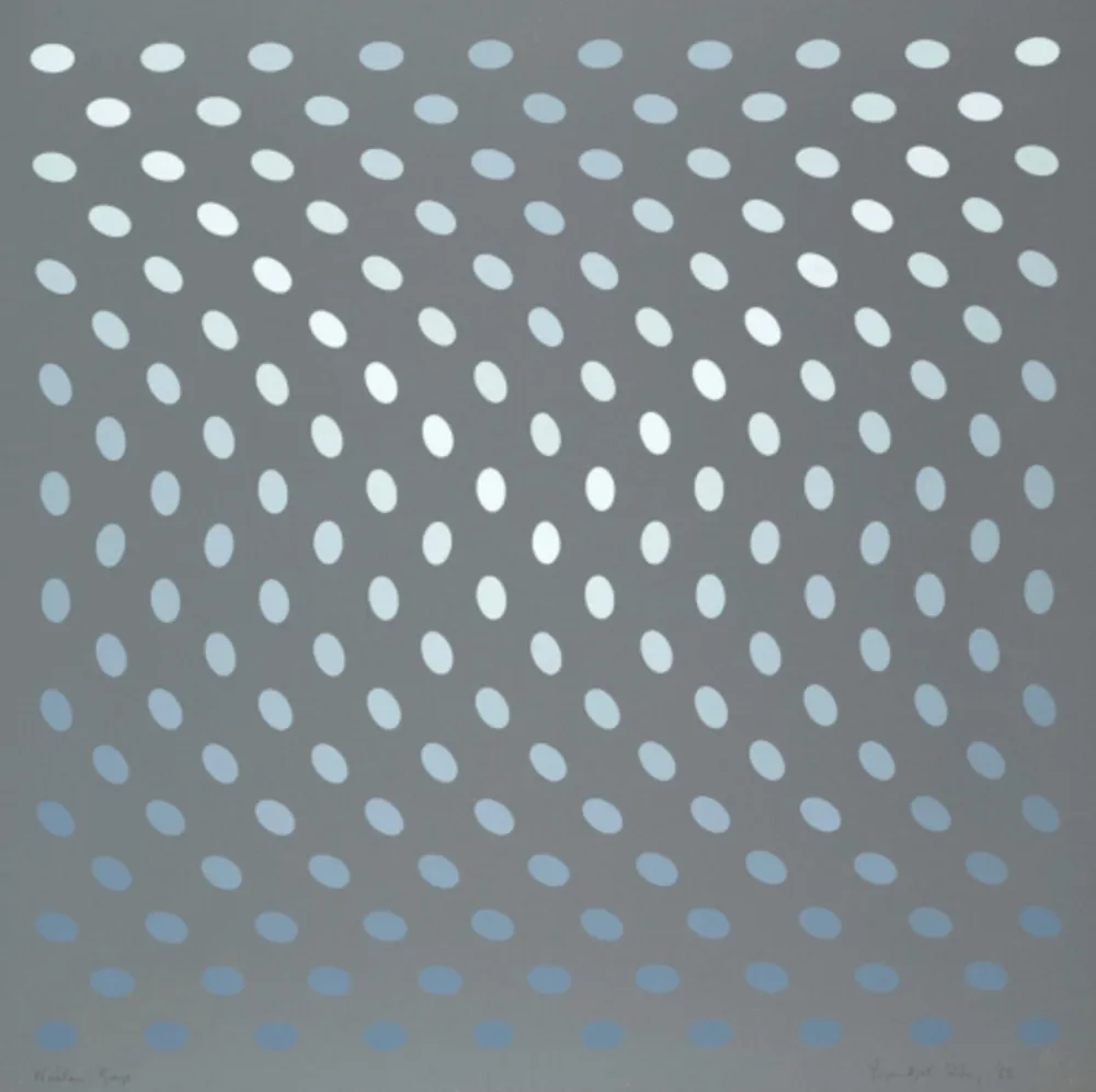 丝网印刷 Riley - Nineteen Greys A