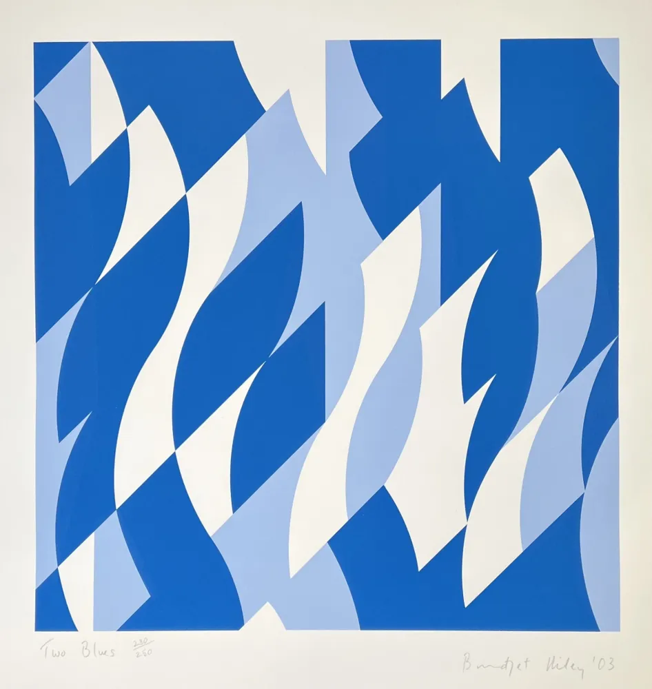 丝网印刷 Riley - Two Blues