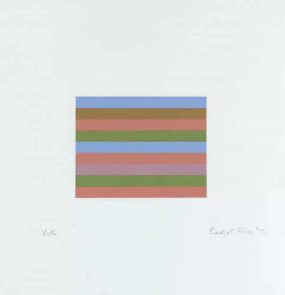 丝网印刷 Riley - Vista