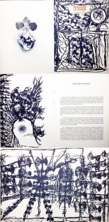 插图书 Riopelle - Derrière le Miroir n° 232. 9 LITHOGRAPHIES ORIGINALES (1979).