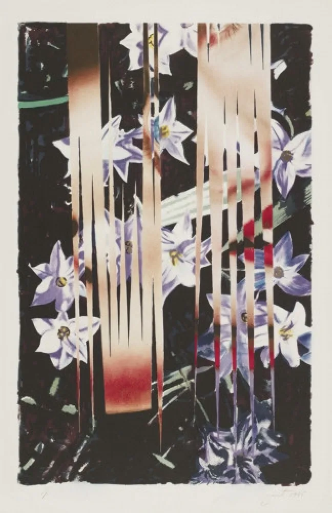 石版画 Rosenquist - Night Transitions