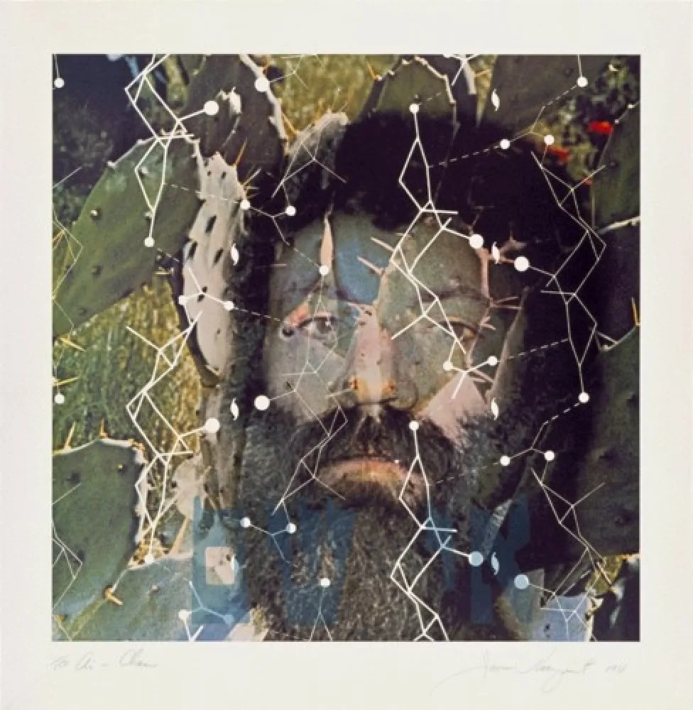 石版画 Rosenquist - The