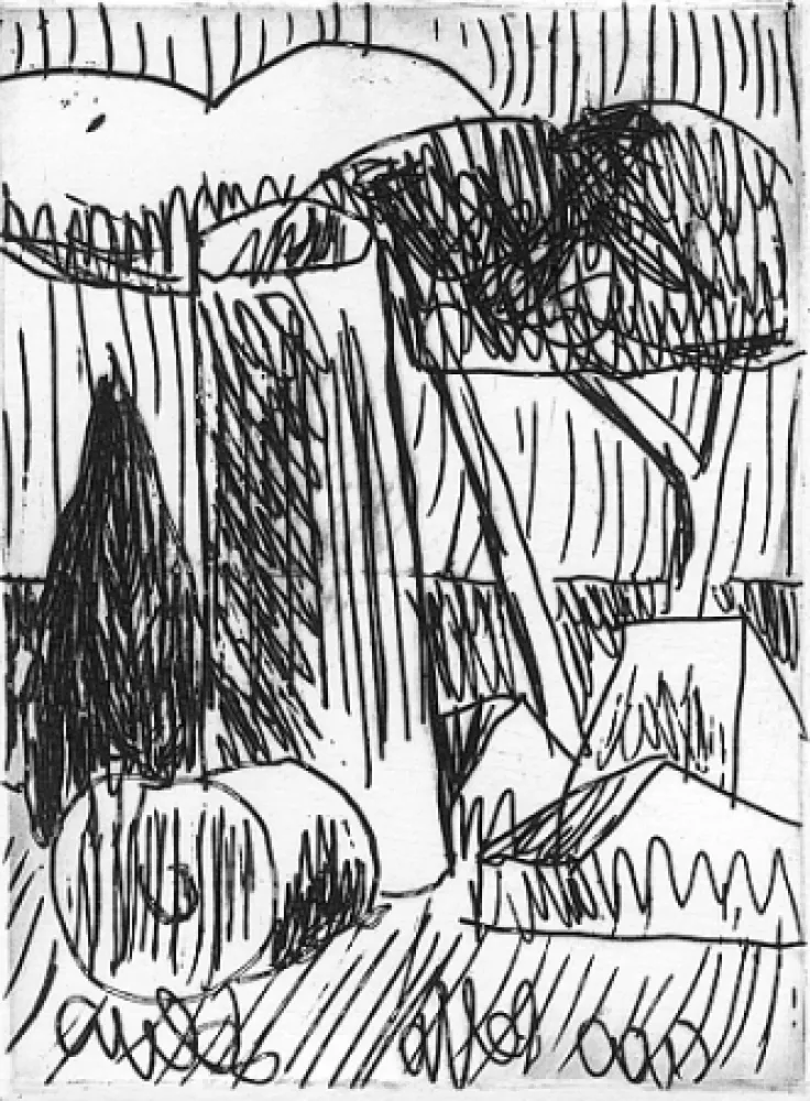 插图书 Salvo - Nascere due volte