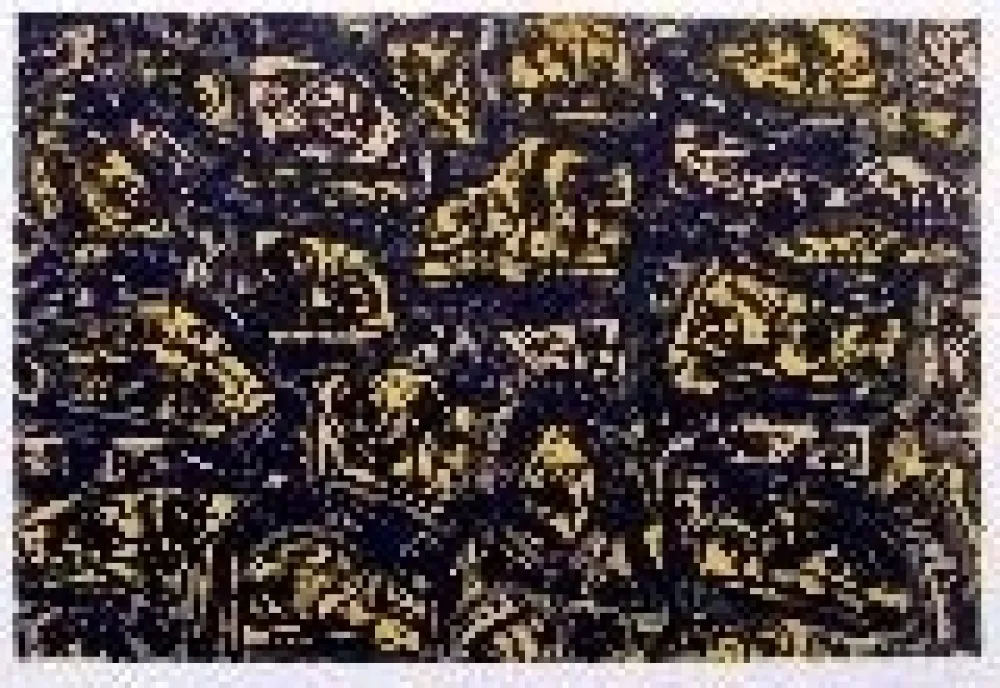 石版画 Saura - Kafka 4