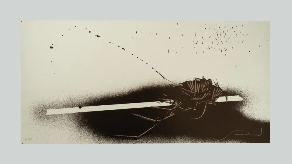 丝网印刷 Scanavino - Tramature (C)