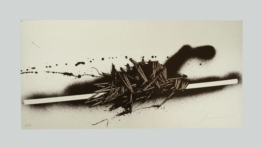 丝网印刷 Scanavino - Tramature (D)