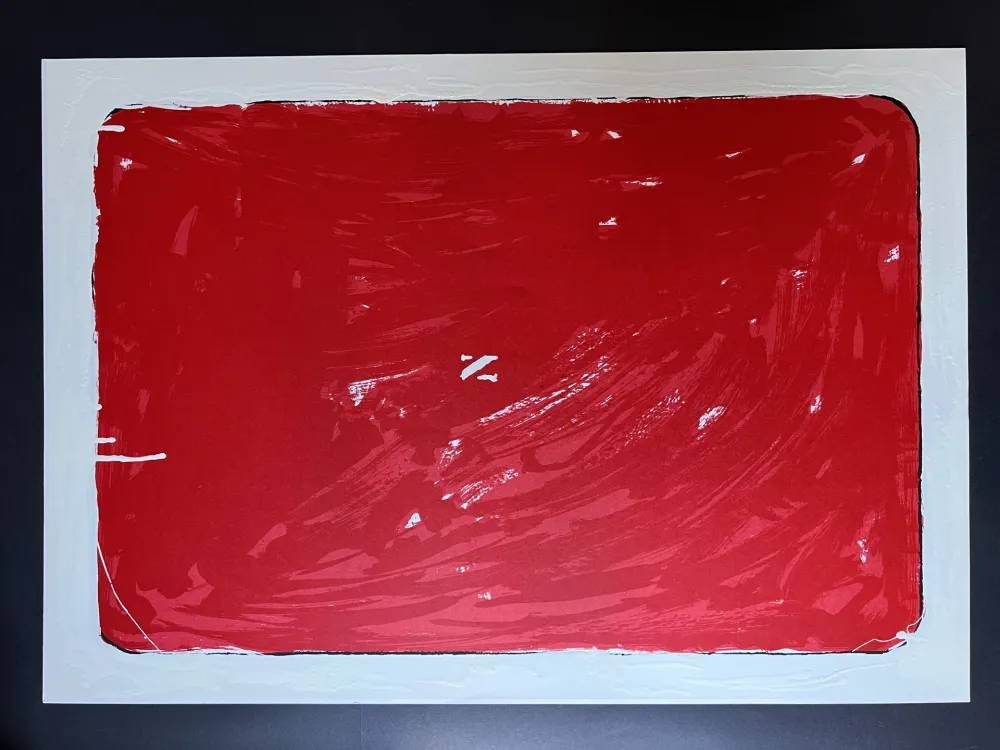 复数作品 Schifano - Monocromo