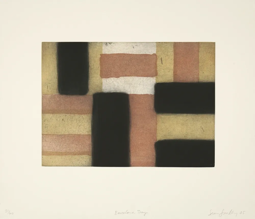 飞尘腐蚀法 Scully - 