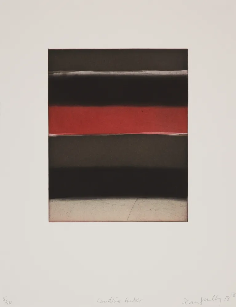 飞尘腐蚀法 Scully - 