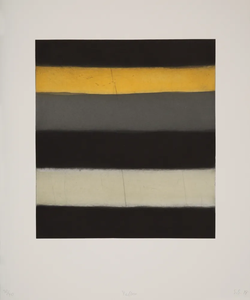 飞尘腐蚀法 Scully - Yellow