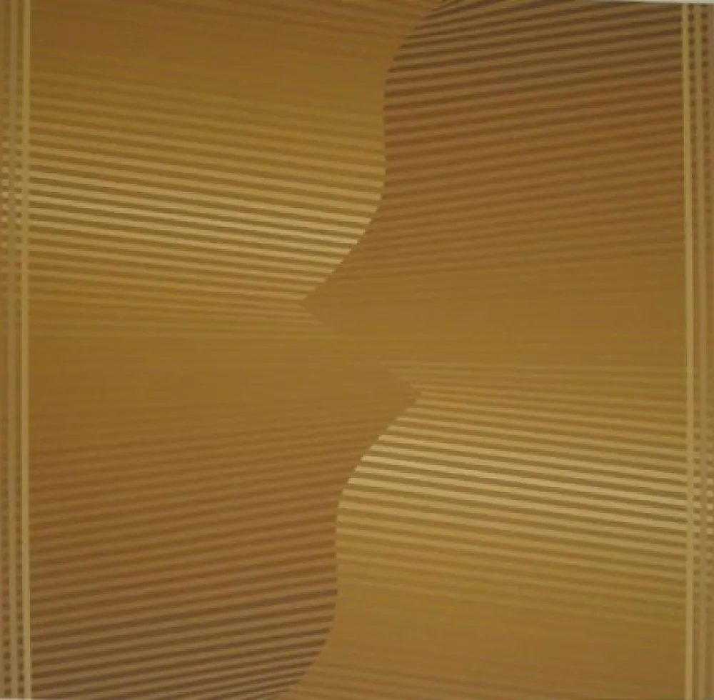 丝网印刷 Sempere - S/T