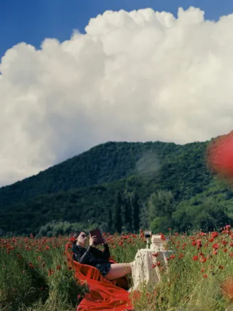 摄影 Sitchinava - Picnic in a Poppy Field