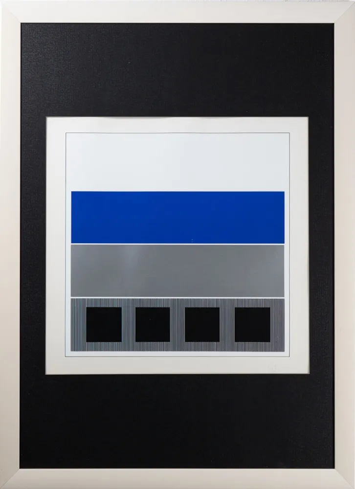 丝网印刷 Soto - Caroni