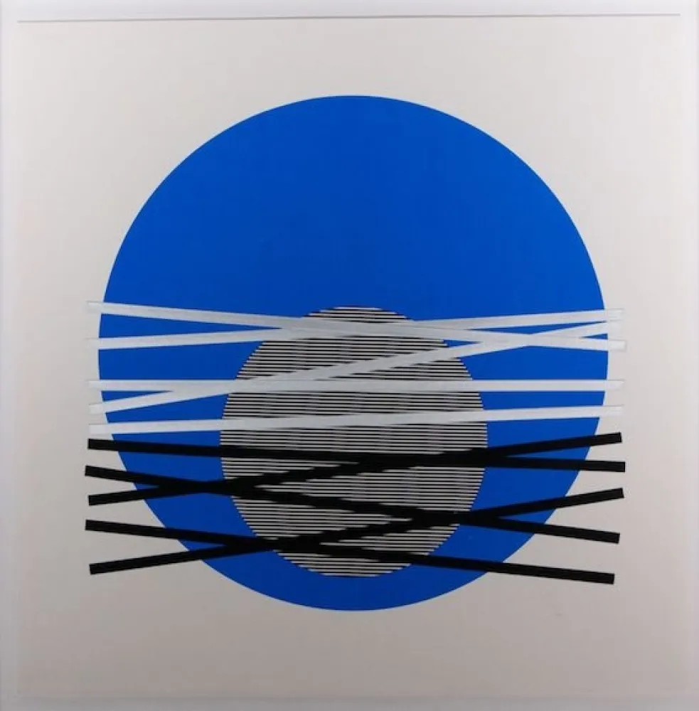 丝网印刷 Soto - Composición