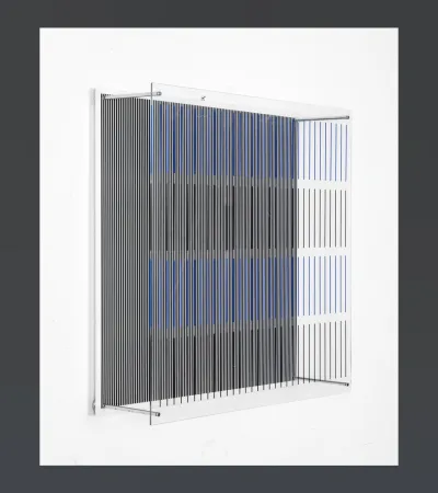 复数作品 Soto - Tes Azules Y Negras