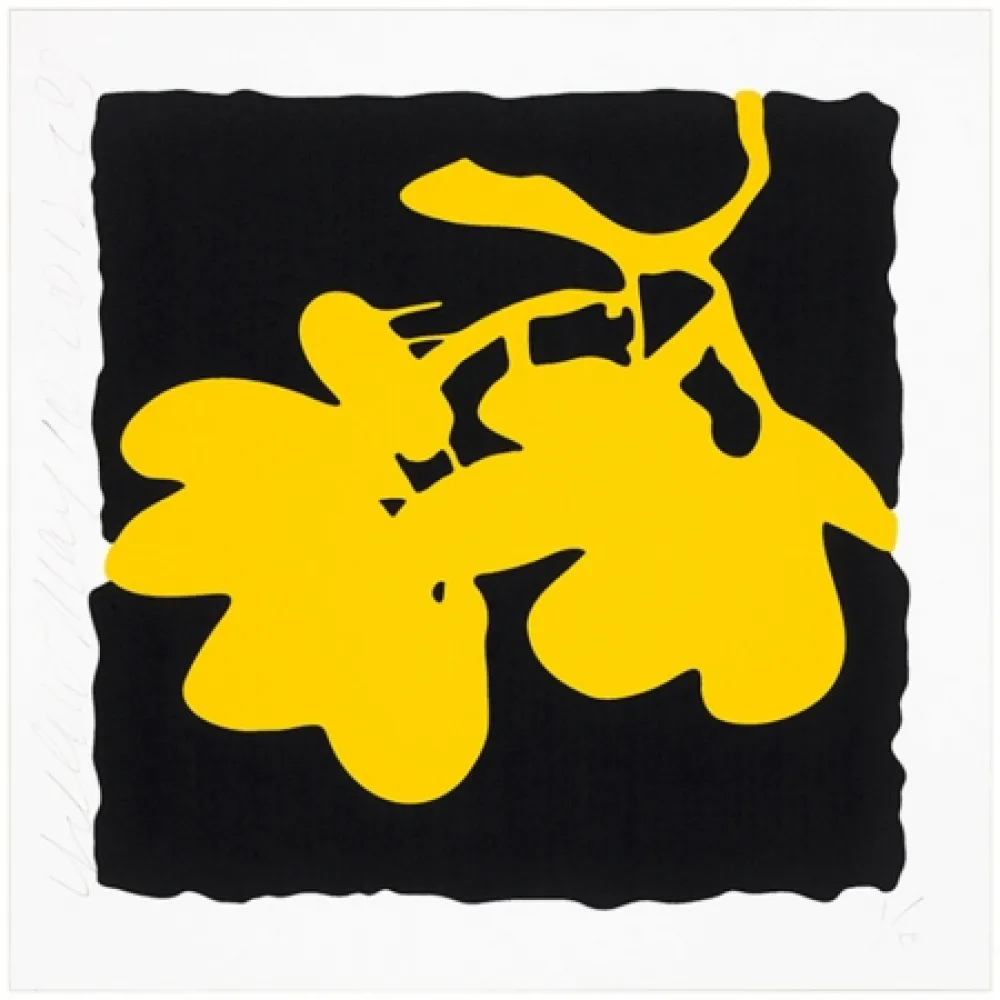 丝网印刷 Sultan - Yellow, May 10, 2012