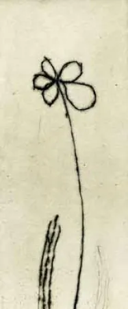 蚀刻版画 Tachibana  - TOT 48