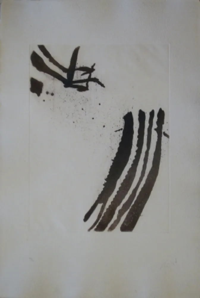 蚀刻飞尘法 Tal Coat - Planche de l'almanach