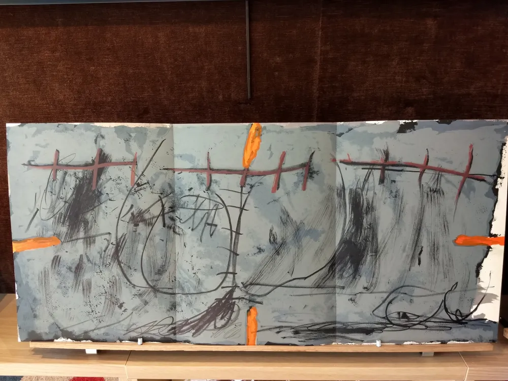 插图书 Tàpies - DLM168