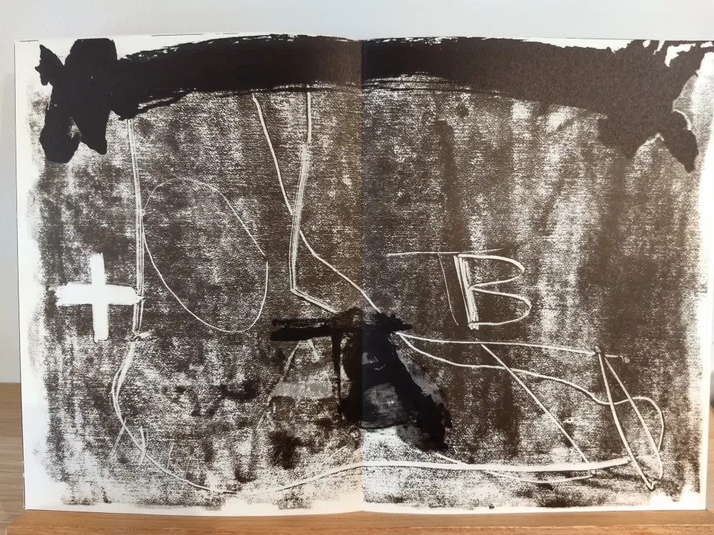 插图书 Tàpies - DLM210