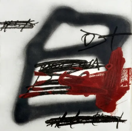 蚀刻飞尘法 Tàpies - Forma Ombrejada