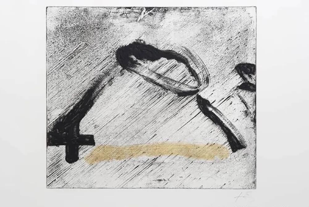 复数作品 Tàpies - Glissement 1