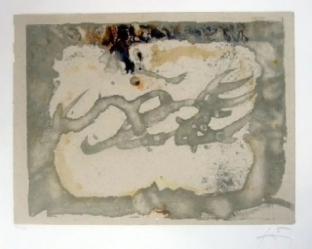 蚀刻飞尘法 Tàpies - Muntanyes