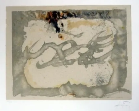 蚀刻飞尘法 Tàpies - Muntanyes