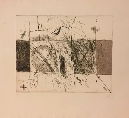 蚀刻飞尘法 Tàpies - Quadrats i grafismes