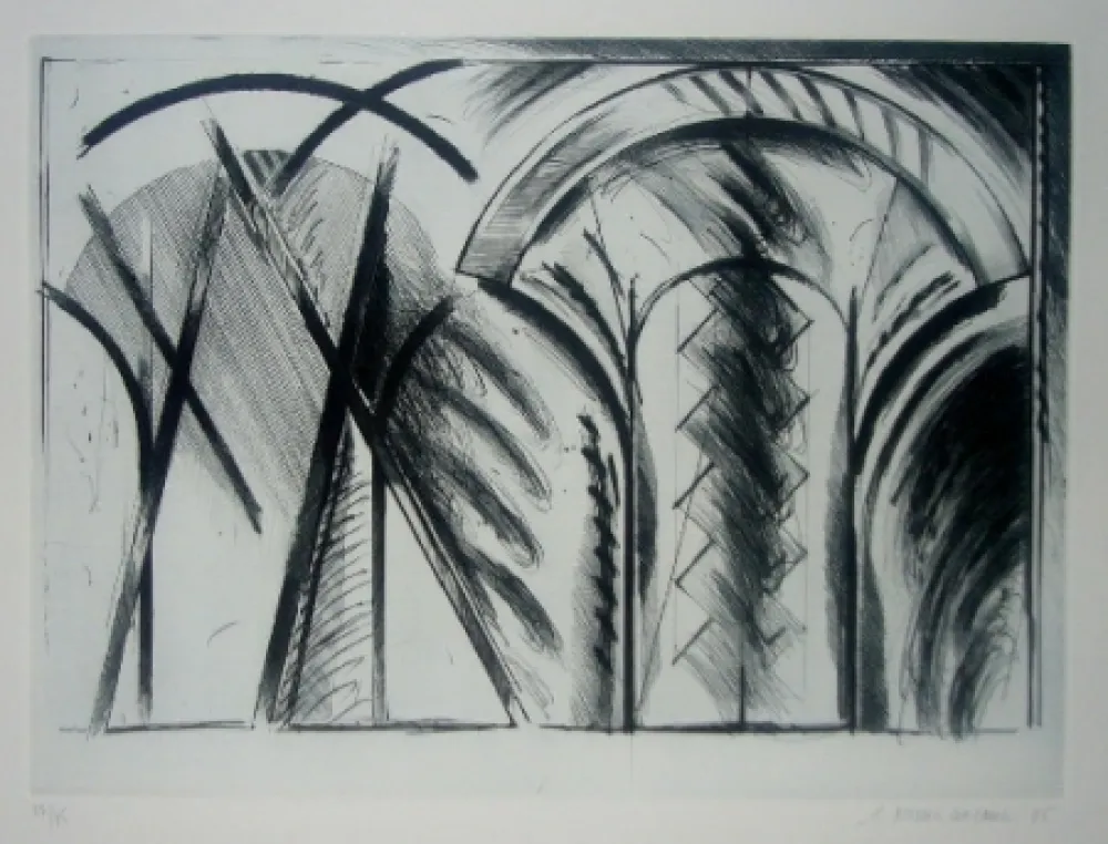 飞尘腐蚀法 Titus Carmel - Chancay VIII