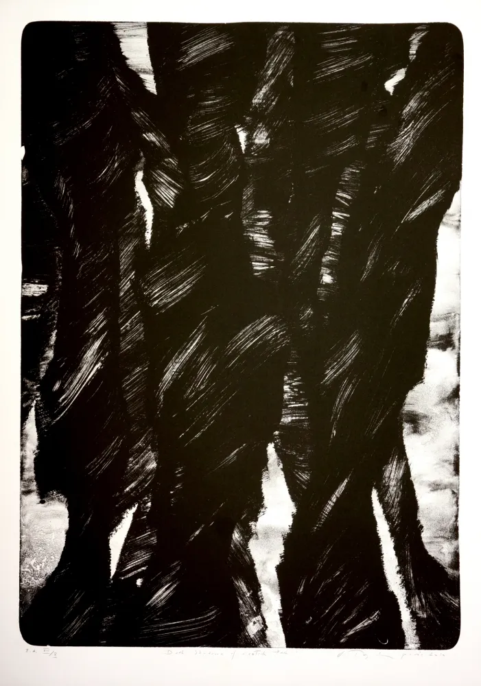 石版画 Tøjner - Dark shadows of central park